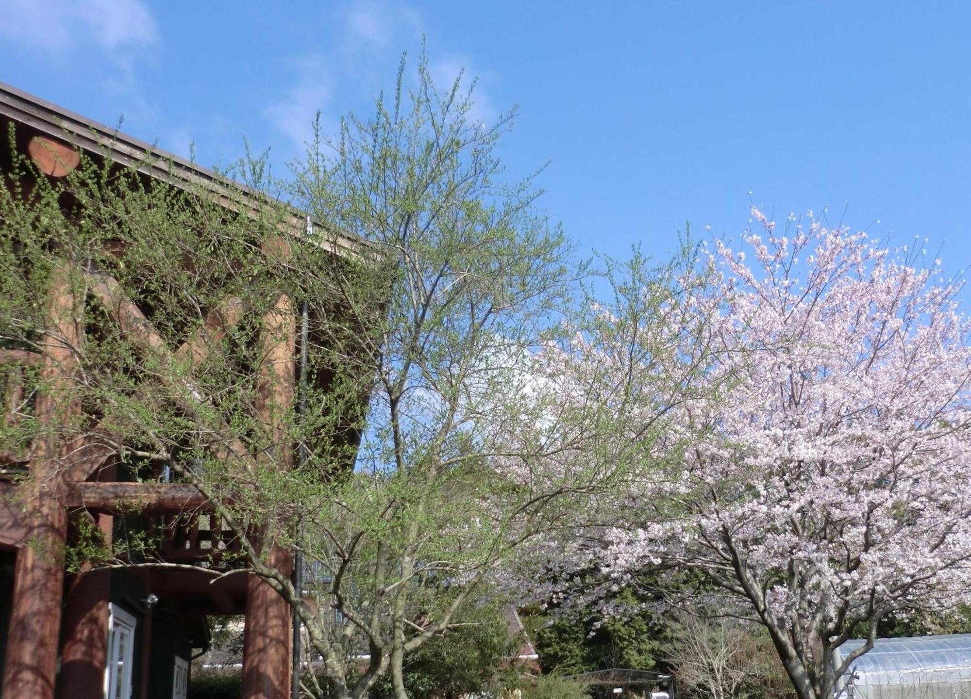 Lassy Condominium Kumamoto Exterior foto