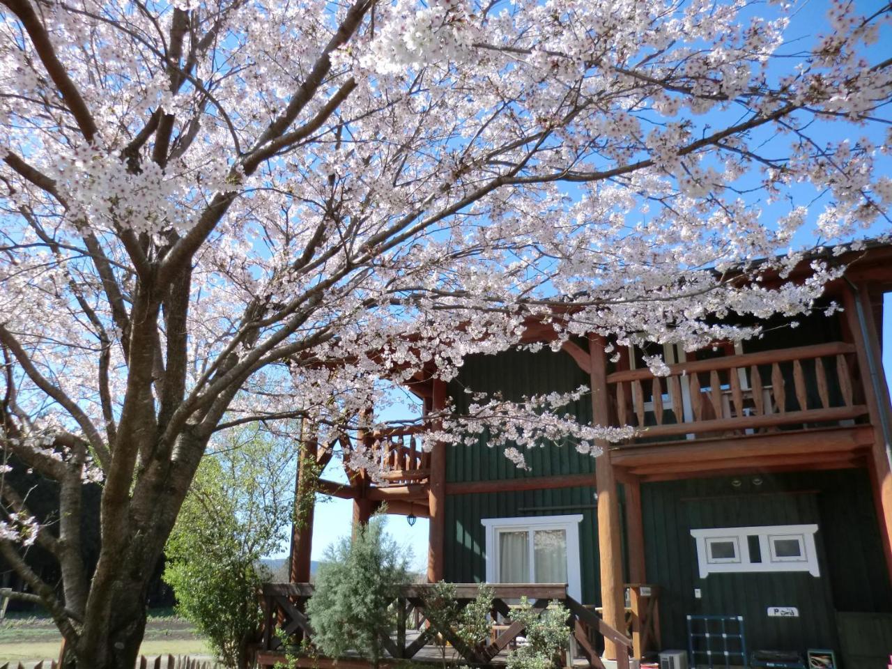 Lassy Condominium Kumamoto Exterior foto